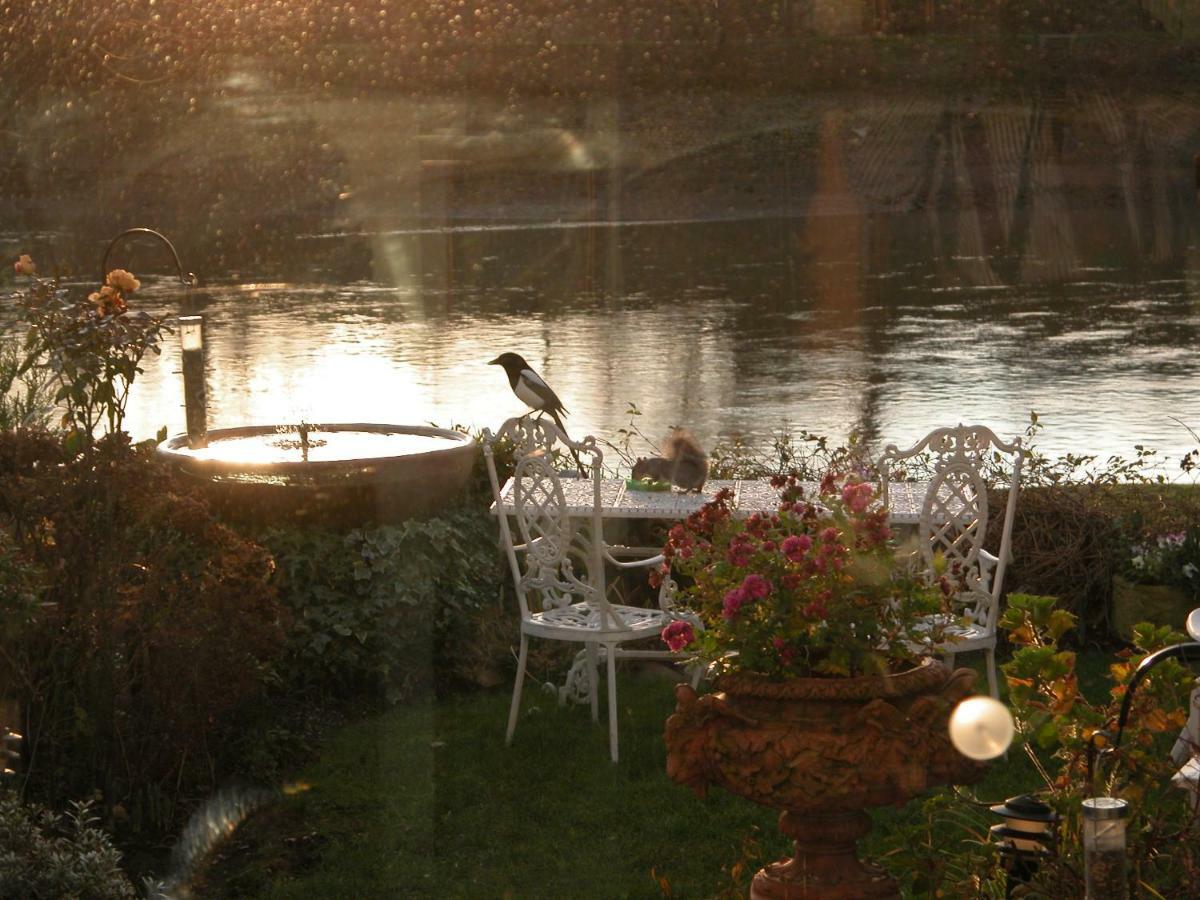 Chiswick Riviera With Free Parking Bed & Breakfast Лондон Екстериор снимка